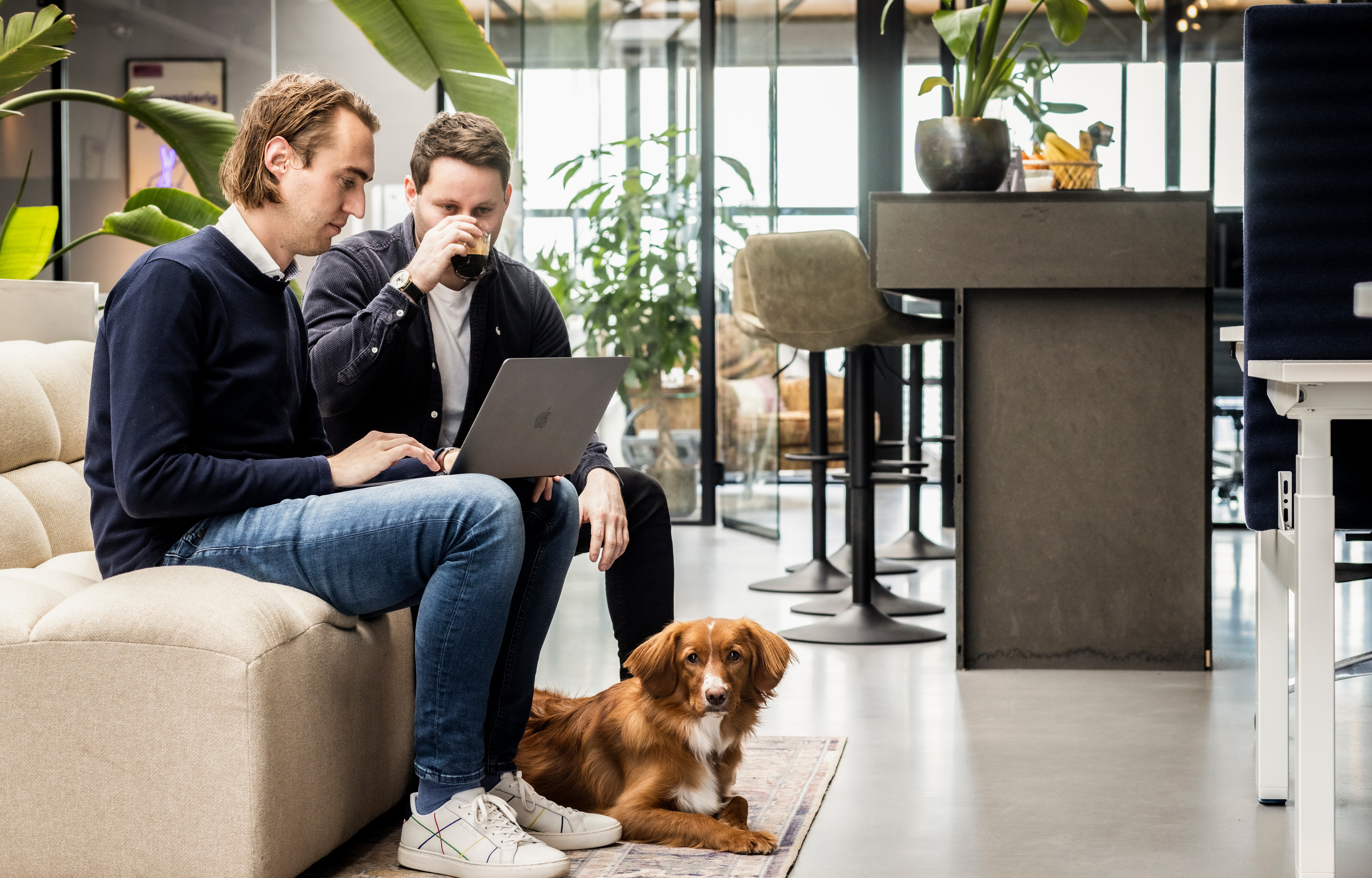 template sollicitatiebrief